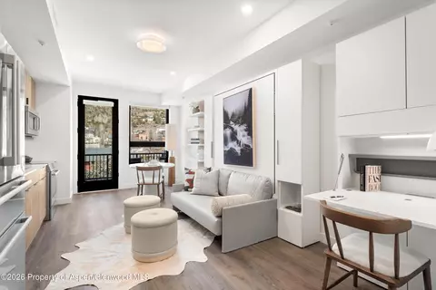 140 Basalt Center Circle 314 Basalt Co 81621 Cir #314, Basalt, CO 81621