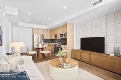 140 Basalt Center Circle 321 Basalt Co 81621 Cir #321, Basalt, CO 81621