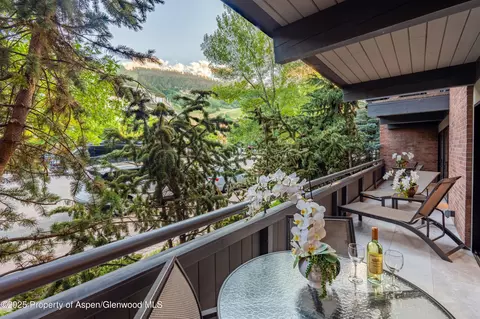 Other - 617 E Cooper Avenue Unit 110 Aspen Co 81611 Ave UNIT 110, Aspen, CO 81611 photo 3 of 3