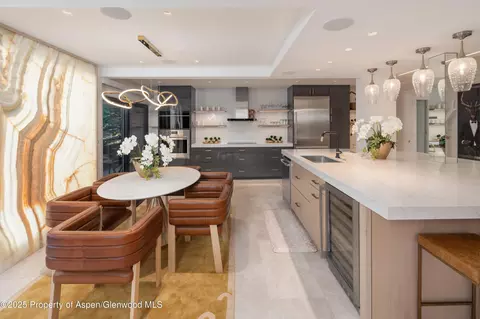 617 E Cooper Avenue Unit 110 Aspen Co 81611 Ave UNIT 110, Aspen, CO 81611