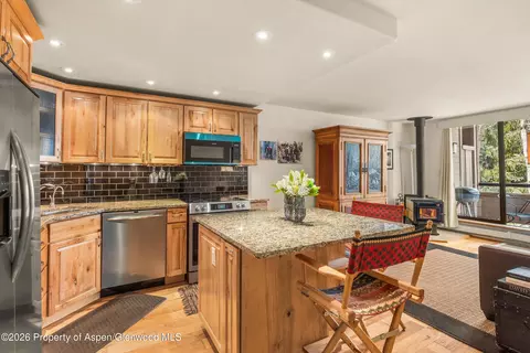 236 Vine Street Aspen Co 81611 St, Aspen, CO 81611