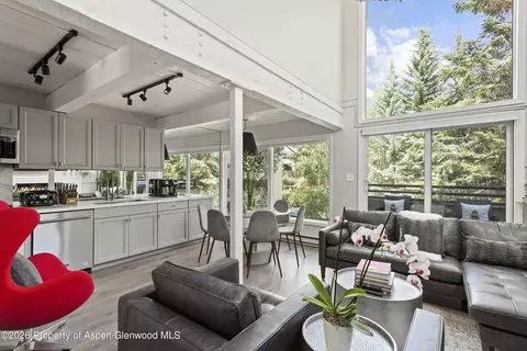 1024 E Cooper Avenue 2 Aspen Co 81611 Ave #2, Aspen, CO 81611