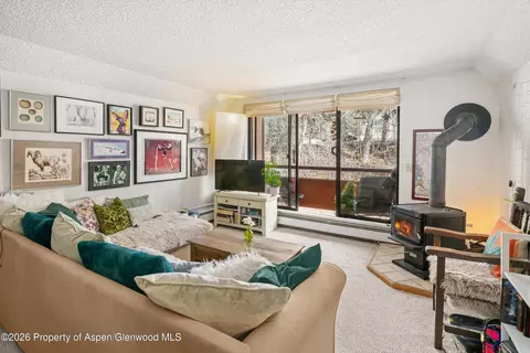 1325 Vine Street Aspen Co 81611 St, Aspen, CO 81611