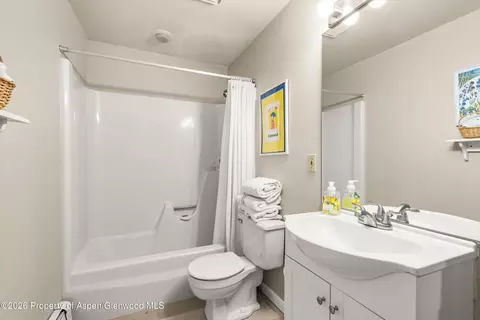 Bath - 501 Wren Court Basalt Co 81621 Ct, Basalt, CO 81621 photo 5 of 5