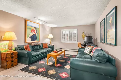 Living - 501 Wren Court Basalt Co 81621 Ct, Basalt, CO 81621 photo 6 of 6