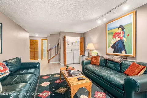 Other - 501 Wren Court Basalt Co 81621 Ct, Basalt, CO 81621 photo 2 of 2