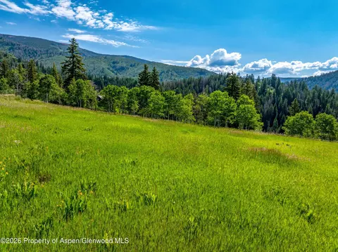 1207 Mclaughlin Lane Basalt Co 81621 Ln, Basalt, CO 81621