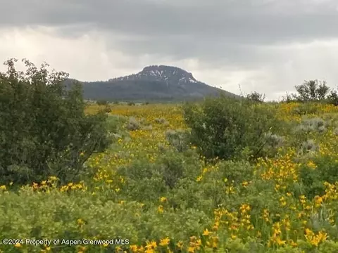 196 Eagle Loop Craig Co 81625 Loop, Craig, CO 81625 photo 1