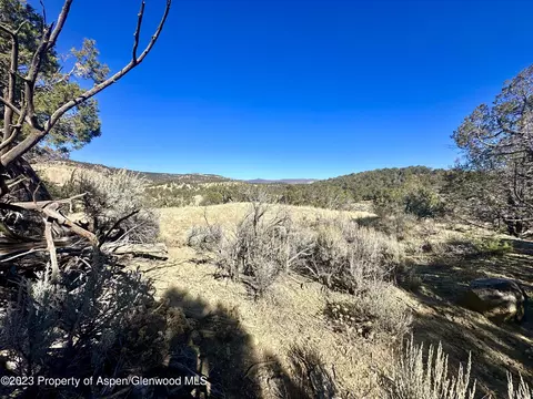 tbd Cactus Park Road Cedaredge Co 81413, Cedaredge, CO 81413