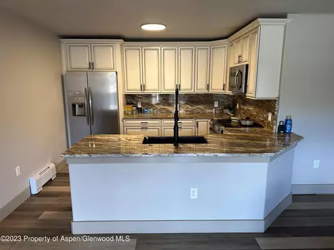 560 River View Drive 704 New Castle Co 81647 Dr #704, New Castle, CO 81647