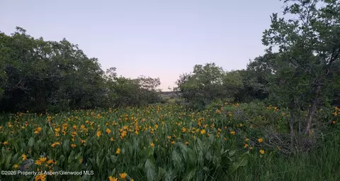 280 Eagle Loop Lot 768 Craig Co 81625 Loop #LOT : 768, Craig, CO 81625 photo 5