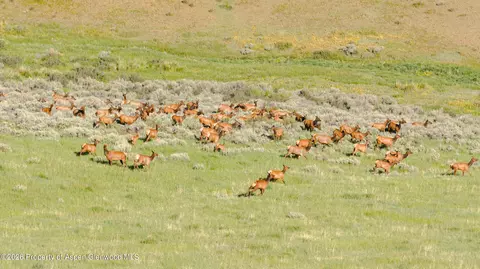 tbd County Road 57 Hayden Co 81639, Hayden, CO 81639