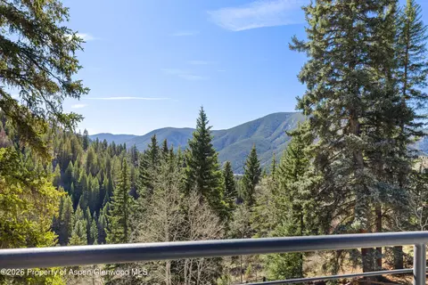 Other - 1340 Mclaughlin Lane Basalt Co 81621 Ln, Basalt, CO 81621 photo 5 of 8