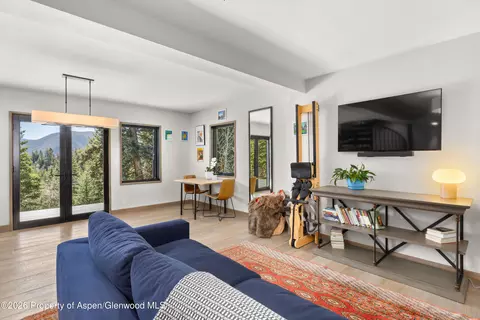 Living - 1340 Mclaughlin Lane Basalt Co 81621 Ln, Basalt, CO 81621 photo 6 of 6
