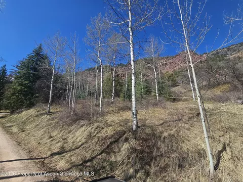 tbd Bear Creek Lane Redstone Co 81623 Ln, Redstone, CO 81623