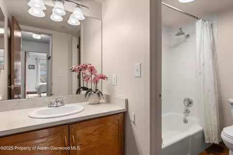 Bath - 100 Midland Avenue 106 Basalt Co 81621 Ave #106, Basalt, CO 81621 photo 2 of 2