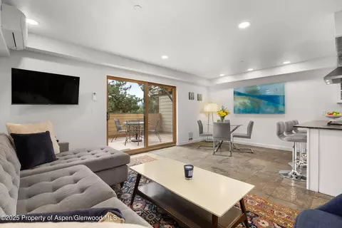 100 Midland Avenue 106 Basalt Co 81621 Ave #106, Basalt, CO 81621