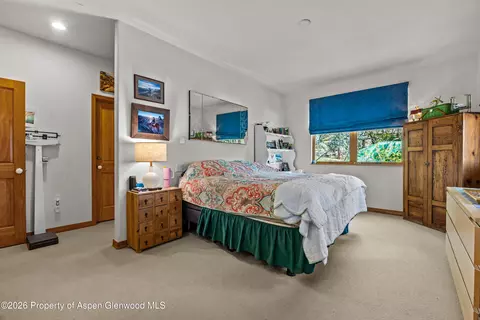 307 E Sopris Drive Basalt Co 81621 Dr, Basalt, CO 81621 photo 14