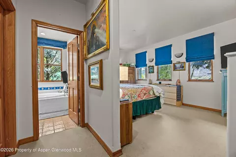 307 E Sopris Drive Basalt Co 81621 Dr, Basalt, CO 81621 photo 15