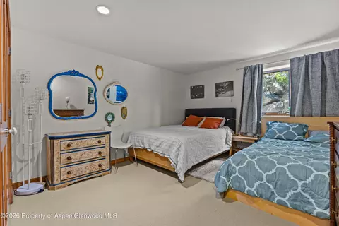307 E Sopris Drive Basalt Co 81621 Dr, Basalt, CO 81621 photo 17