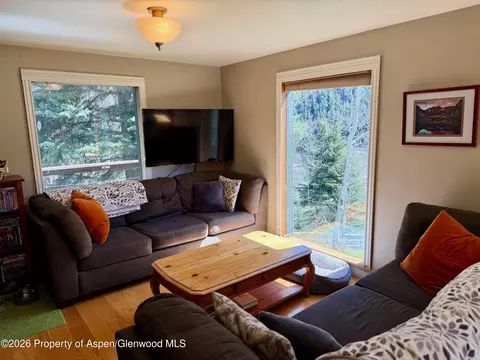 Living - 357 Elk Mountain Drive Redstone Co 81623 Dr, Redstone, CO 81623 photo 1 of 1