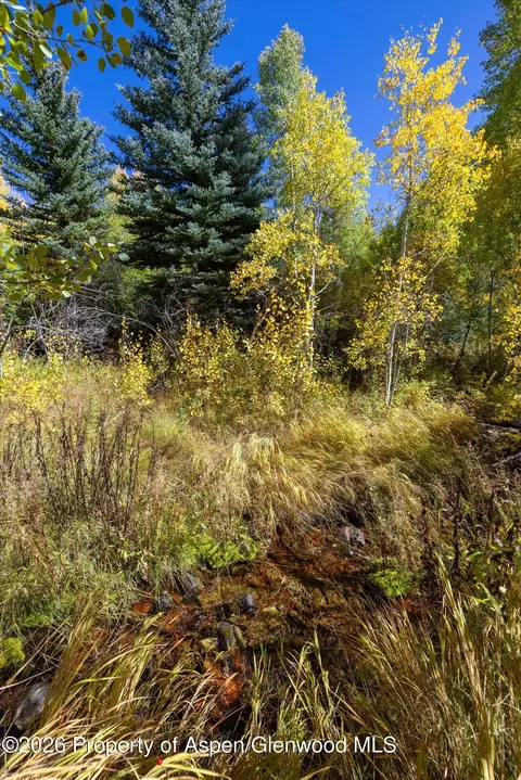 0 Frying Pan Road Basalt Co 81621 Rd, Basalt, CO 81621 photo 17