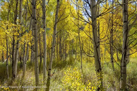 0 Frying Pan Road Basalt Co 81621 Rd, Basalt, CO 81621 photo 24