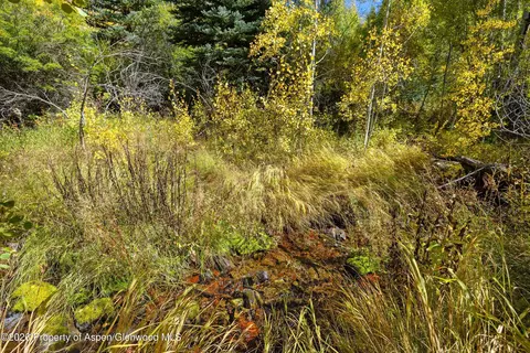 0 Frying Pan Road Basalt Co 81621 Rd, Basalt, CO 81621 photo 19