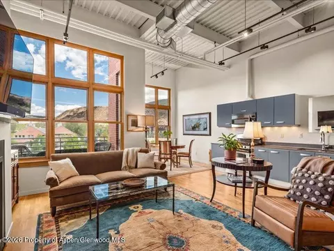 Living - 231 Robinson Street 318 Basalt Co 81621 St #318, Basalt, CO 81621 photo 3 of 4