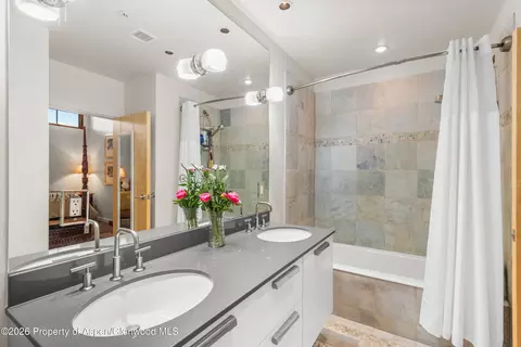 Bath - 231 Robinson Street 318 Basalt Co 81621 St #318, Basalt, CO 81621 photo 1 of 2