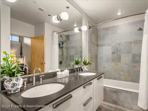 Bath - 231 Robinson Street 318 Basalt Co 81621 St #318, Basalt, CO 81621 photo 2 of 2