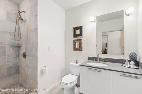 Bath - 231 Robinson Street 318 Basalt Co 81621 St #318, Basalt, CO 81621 photo 2 of 2