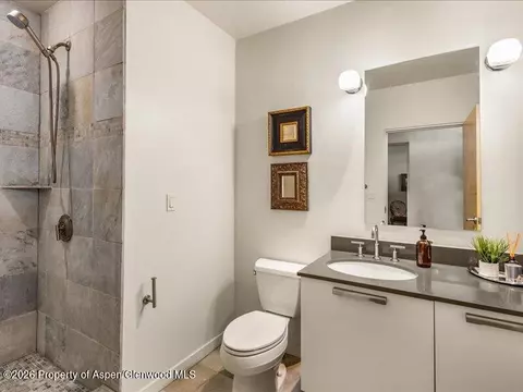 Bath - 231 Robinson Street 318 Basalt Co 81621 St #318, Basalt, CO 81621 photo 1 of 2