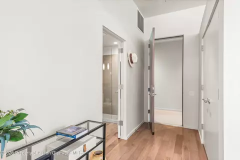 Entry Way - 202 Evans Road 101 Basalt Co 81621 Rd #101, Basalt, CO 81621 photo 1 of 1
