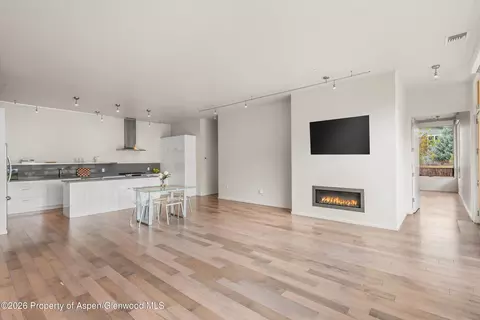 Living - 202 Evans Road 101 Basalt Co 81621 Rd #101, Basalt, CO 81621 photo 5 of 6