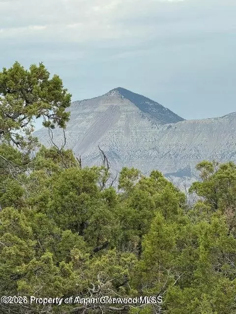 2285 Housetop Mountain Road Parachute Co 81635 Rd, Parachute, CO 81635