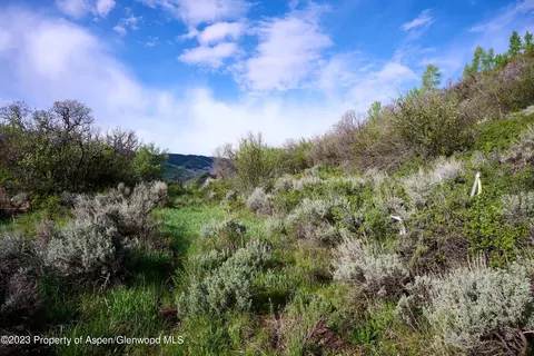 51 Shield O Road Snowmass Co 81654 Rd, Snowmass, CO 81654 photo 9