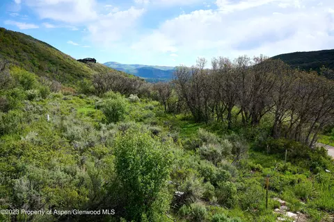 51 Shield O Road Snowmass Co 81654 Rd, Snowmass, CO 81654 photo 18