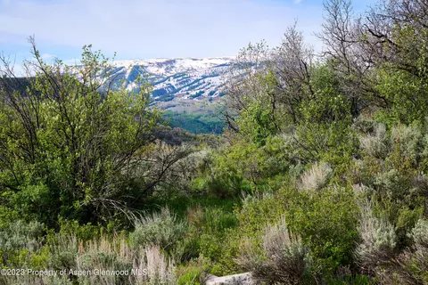 51 Shield O Road Snowmass Co 81654 Rd, Snowmass, CO 81654 photo 12
