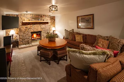 Living - 294 Ruedi Creek Road Basalt Co 81621 Rd, Basalt, CO 81621 photo 4 of 4