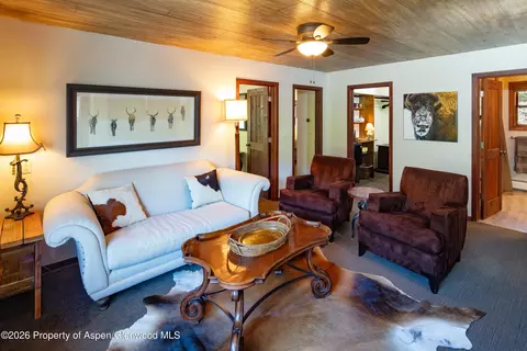 Living - 294 Ruedi Creek Road Basalt Co 81621 Rd, Basalt, CO 81621 photo 3 of 4