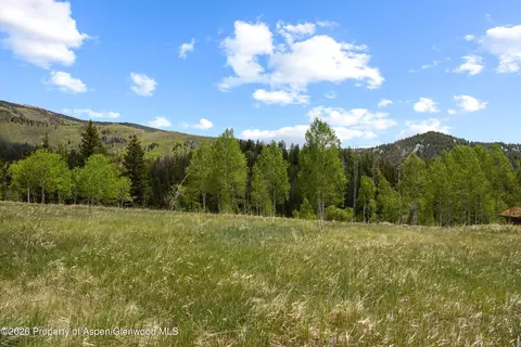 1239 Mclaughlin Lane Basalt Co 81621 Ln, Basalt, CO 81621 photo 16