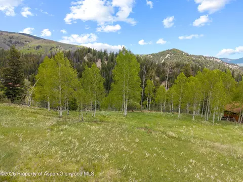 1239 Mclaughlin Lane Basalt Co 81621 Ln, Basalt, CO 81621 photo 8