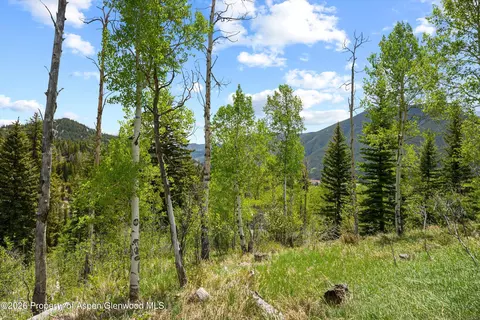 1239 Mclaughlin Lane Basalt Co 81621 Ln, Basalt, CO 81621 photo 19
