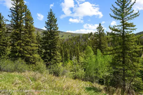 1239 Mclaughlin Lane Basalt Co 81621 Ln, Basalt, CO 81621 photo 20