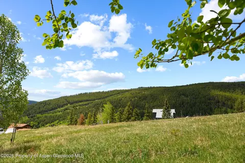 1239 Mclaughlin Lane Basalt Co 81621 Ln, Basalt, CO 81621 photo 18