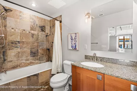 Bath - 231 Robinson Street 310 Basalt Co 81621 St #310, Basalt, CO 81621 photo 1 of 1