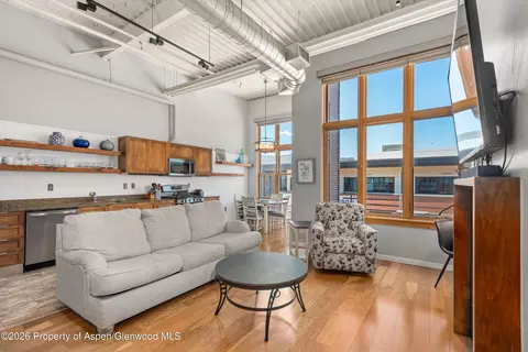 231 Robinson Street 310 Basalt Co 81621 St #310, Basalt, CO 81621
