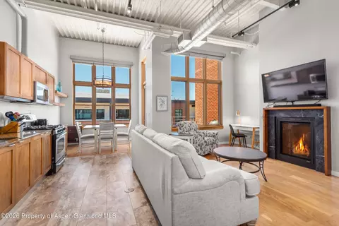 Living - 231 Robinson Street 310 Basalt Co 81621 St #310, Basalt, CO 81621 photo 2 of 3