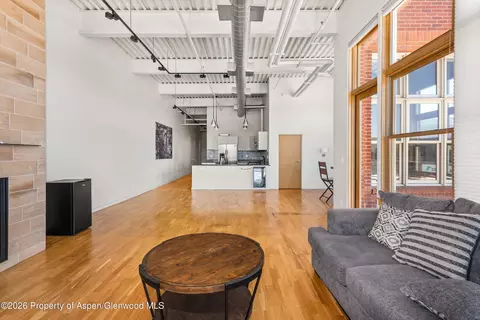 Living - 231 Robinson Street 312 Basalt Co 81621 St #312, Basalt, CO 81621 photo 5 of 5
